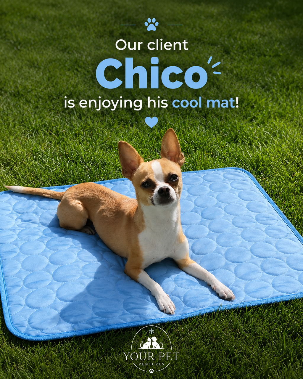 Cooling Pet Bed Mat for Cats and Dogs (Summer Use)